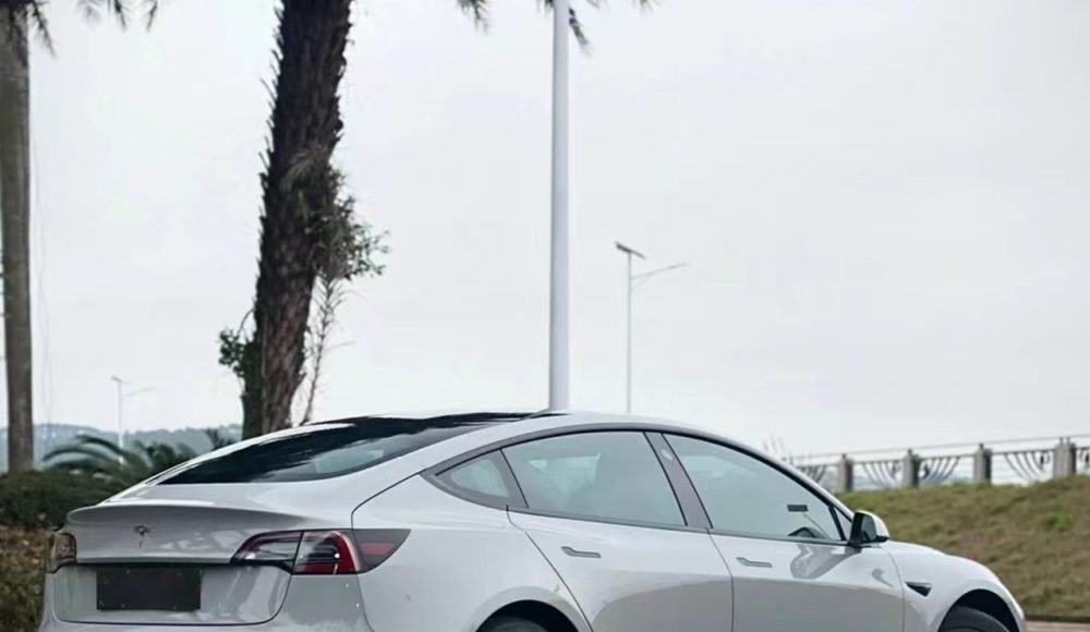 微信图片_202402241349331